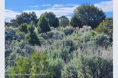 369 Woodruff Road, Glenwood Springs, CO 81601 - Photo 2