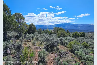 369 Woodruff Road, Glenwood Springs, CO 81601 - Photo 8
