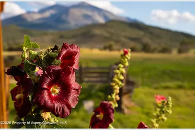 1644 Prince Creek Road, Carbondale, CO 81623 - Photo 68