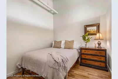 231 Robinson Street #318, Basalt, CO 81621 - Photo 14