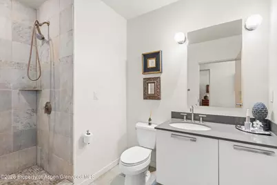 231 Robinson Street #318, Basalt, CO 81621 - Photo 12