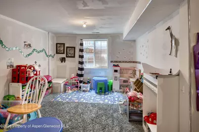 1489 Domelby Court, Silt, CO 81652 - Photo 16