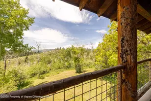 15805 Co Rd 245, New Castle, CO 81647 - Photo 24