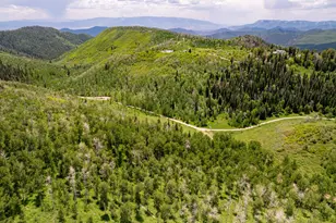 15805 Co Rd 245, New Castle, CO 81647 - Photo 38