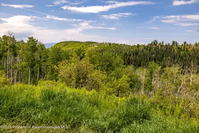 15805 County Road 245, New Castle, CO 81647 - Photo 40