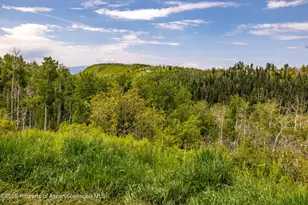 15805 Co Rd 245, New Castle, CO 81647 - Photo 40