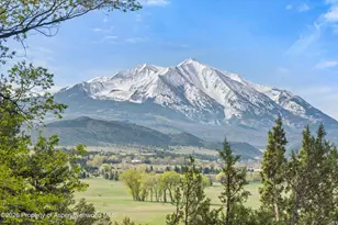 362 Co Rd 165, Carbondale, CO 81623 - Photo 50