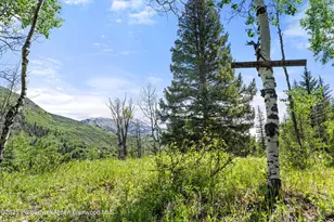 117 Deer Ln, Marble, CO 81623 - Photo 62
