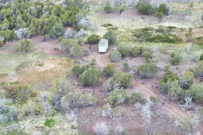 12705 55 Road, Collbran, CO 81624 - Photo 18