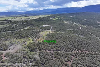 12705 55 Road, Collbran, CO 81624 - Photo 4