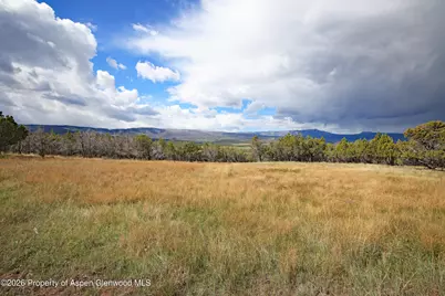 12705 55 Road, Collbran, CO 81624 - Photo 14