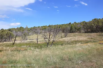 12705 55 Road, Collbran, CO 81624 - Photo 10