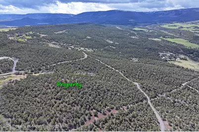 12705 55 Road, Collbran, CO 81624 - Photo 26