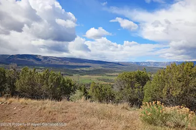 12705 55 Road, Collbran, CO 81624 - Photo 6