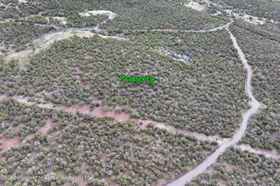 12705 55 Road, Collbran, CO 81624 - Photo 24