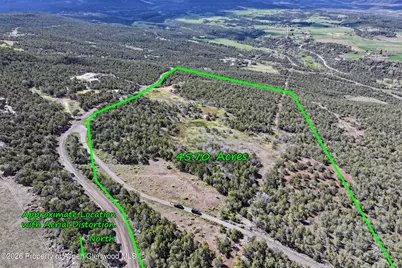 12705 55 Road, Collbran, CO 81624 - Photo 2