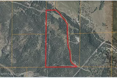 12705 55 Road, Collbran, CO 81624 - Photo 30