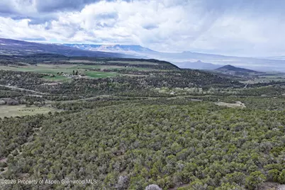 12705 55 Road, Collbran, CO 81624 - Photo 22