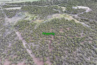 12705 55 Road, Collbran, CO 81624 - Photo 28