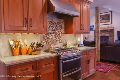 109 Valley Court, Basalt, CO 81621 - Photo 8