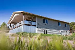 59 Co Rd 317, Rifle, CO 81650 - Photo 6