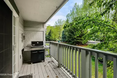 5202 Elk Lane, Basalt, CO 81621 - Photo 16