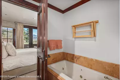 74 Pfister Drive #102, Aspen, CO 81611 - Photo 18