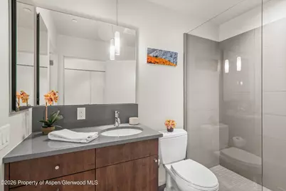 202 Evans Road #101, Basalt, CO 81621 - Photo 24