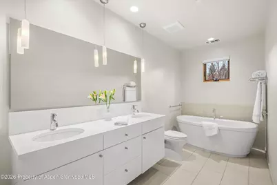 202 Evans Road #101, Basalt, CO 81621 - Photo 18
