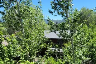 668 Alder Ridge Ln, New Castle, CO 81647 - Photo 8