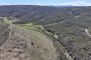 2346 Co Rd 40, Meeker, CO 81641 - Photo 12
