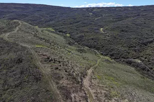 2346 Co Rd 40, Meeker, CO 81641 - Photo 14