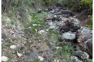 201 Cedar Breaks Rd, Rifle, CO 81650 - Photo 34