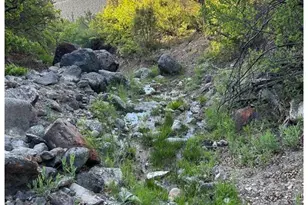 201 Cedar Breaks Rd, Rifle, CO 81650 - Photo 32