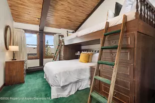 70 Gallun Ln, Snowmass Village, CO 81615 - Photo 22