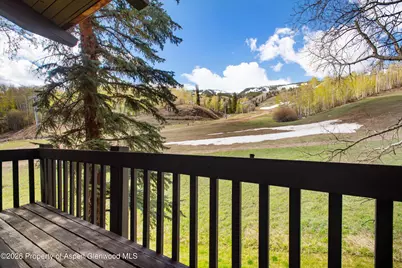 70 Gallun Lane #305, Snowmass, CO 81615 - Photo 28