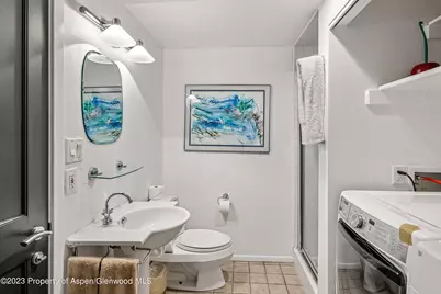 814 W Bleeker Street #E4, Aspen, CO 81611 - Photo 14