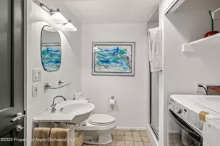 814 W Bleeker St, Aspen, CO 81611 - Photo 14