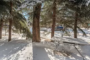 814 W Bleeker St, Aspen, CO 81611 - Photo 16