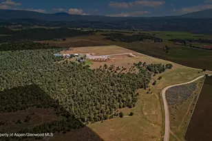 5333 Co Rd 100, Carbondale, CO 81623 - Photo 42