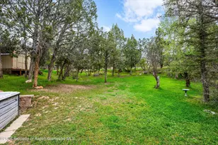 100 Comanchero Trail, New Castle, CO 81647 - Photo 28