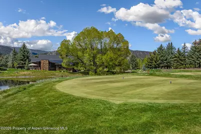 38 E Diamond A Ranch Road, Carbondale, CO 81623 - Photo 118