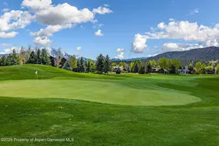 38 E Diamond A Ranch Rd, Carbondale, CO 81623 - Photo 138
