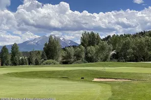 38 E Diamond A Ranch Rd, Carbondale, CO 81623 - Photo 104