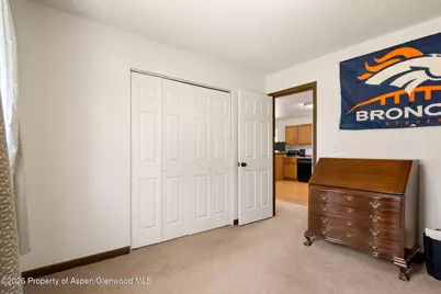 271 Remington Street, Rifle, CO 81650 - Photo 18