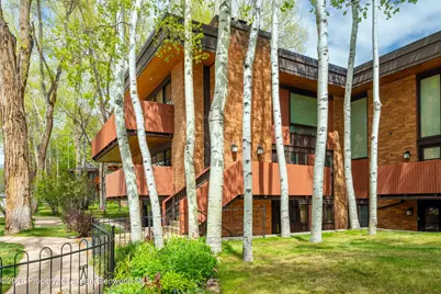 400 W Hopkins Avenue #5, Aspen, CO 81611 - Photo 32