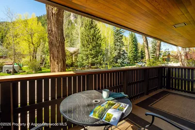 400 W Hopkins Avenue #5, Aspen, CO 81611 - Photo 30