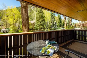 400 W Hopkins Ave, Aspen, CO 81611 - Photo 30