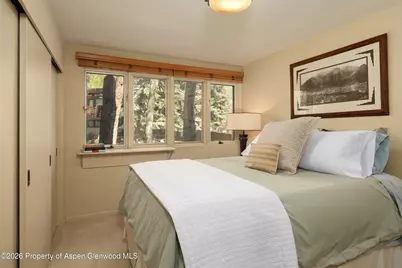 400 W Hopkins Avenue #5, Aspen, CO 81611 - Photo 14