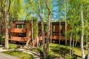 400 W Hopkins Ave, Aspen, CO 81611 - Photo 22